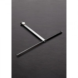 THE ANAL IMPALER ACERO INOX