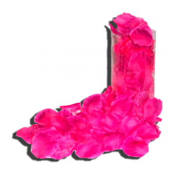 PETALOS DE ROSA LILA