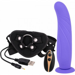 ARNeS CON DILDO Y VIBRACIoN 24CM MORADO