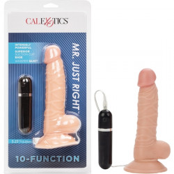 10 FUCIONES MR JUST RIGHT 1333 CM IVORY
