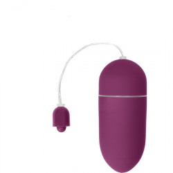 HUEVO VIBRADOR 10 VELOCIDADES LILA