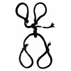 ATADURAS HOGTIE
