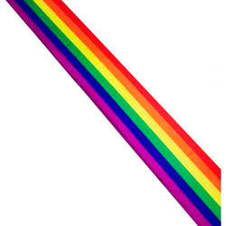 BANDA CON LA BANDERA