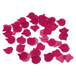 100 PETALOS COLOR FUSCIA