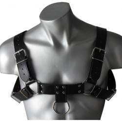 ARNeS MASCULINO
