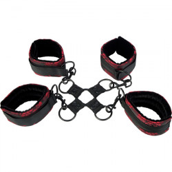SCANDAL HOG TIE