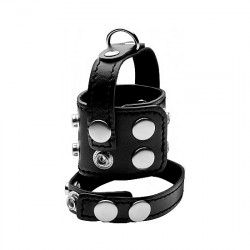 ARNeS DE CUERO CON TACHUELAS PARA EL PENE